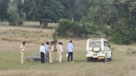 Police personnel at the Bandhavgarh Tiger Reserve in Madhya Pradesh after the death of elephants. (PTI)