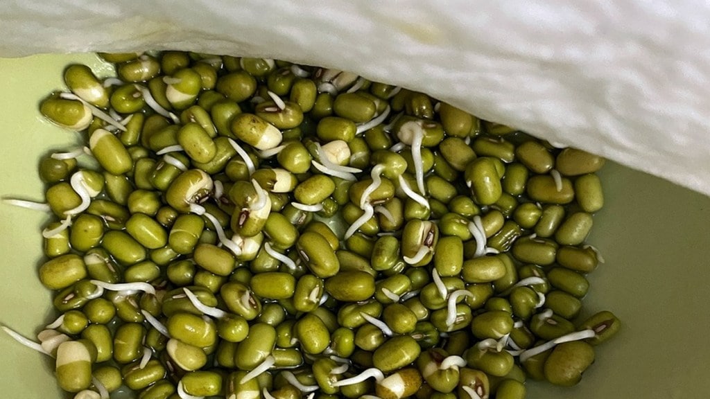 Diabetes, Diabetes-friendly food, Moong, Sprouted moong, Diabetes news, health news, wellness news, Diabetes, Diabetes-friendly food, Moong, Sprouted moong, Diabetes news, health news, wellness news,