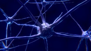 Parkinson's disease clinical research in seven major markets focuses on disease-modifying agents