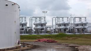 petrochem companies