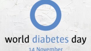 World Diabetes Day 2024, World Diabetes Day 2024 Date, World Diabetes Day 2024 Theme, World Diabetes Day 2024 History, World Diabetes Day 2024 Significance, World Diabetes Day 2024 Celebrations