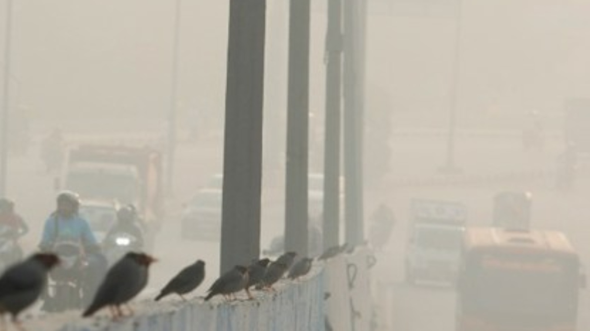 Delhi, Delhi AQI, AQI today, Anand Vihar AQI, ANand Vihar pollution, Delhi pollution, pollution, smog, delhi smog, delhi chokes, Delhi NCR AQI, Noida AQI, RK Puram, Dwarka Sector 8, New Moti Bagh, Ashok Vihar, Vivek Vihar