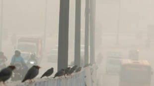 Delhi, Delhi pollution, Delhi AQI, Delhi air pollution, Delhi news, Lahore, Pakistan pollution, Pakistan Lahore, Delhi pollution update, world's most polluted city