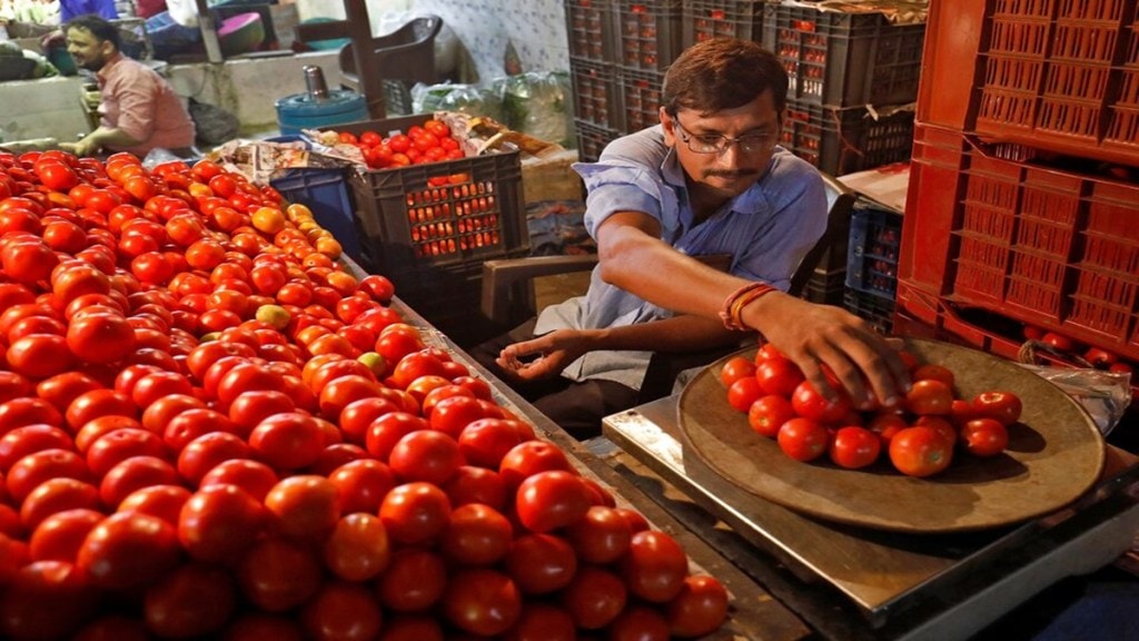 tomato prices, tomato, economy, planting, harvesting, Tomato Grand Challenge, TGC,