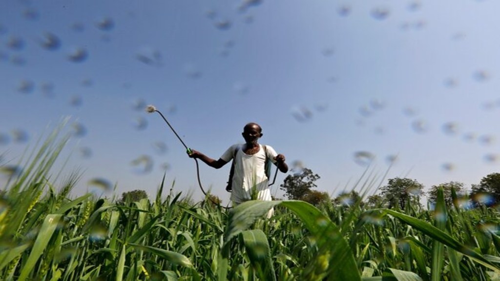 complex fertiliser, operating profitability, raw material prices, subsidy, retail sales price, government intervention, ammonia prices