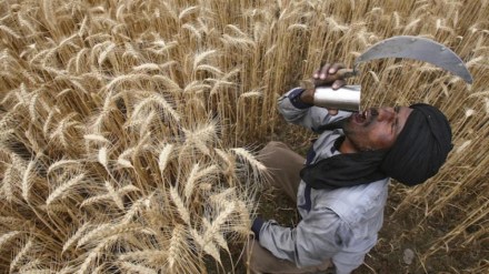 informal sector, informal job market, opinion informal sector, informal job market, opinion