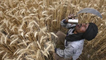 informal sector, informal job market, opinion informal sector, informal job market, opinion