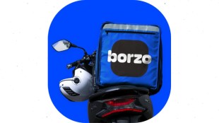 Borzo last-mile delivery
