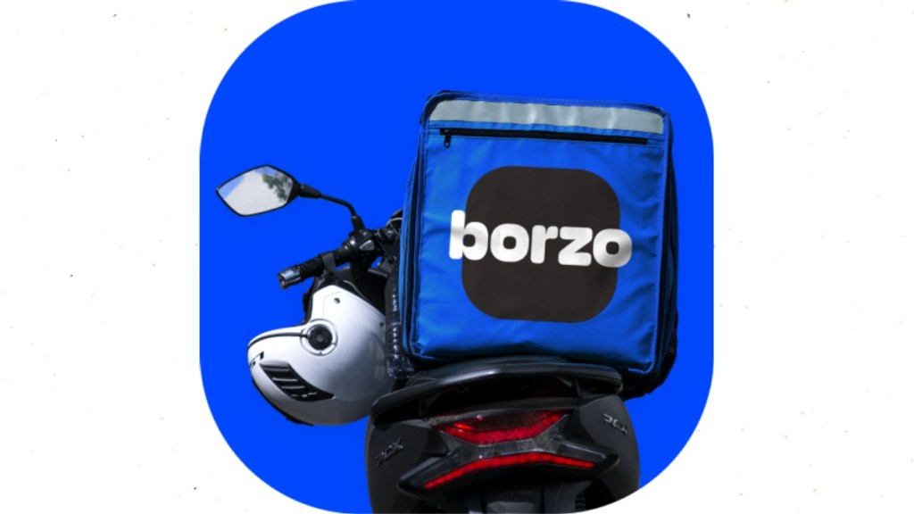 Borzo last-mile delivery