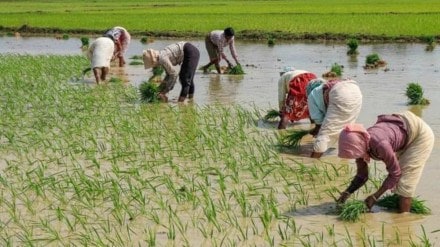 PM Kisan Samman Nidhi Yojana