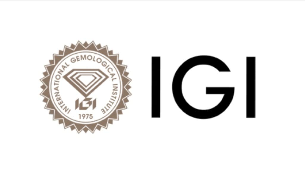 International Gemological Institute (IGI) IPO Allotment Status 2024
