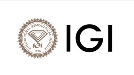 International Gemological Institute (IGI) IPO Allotment Status 2024