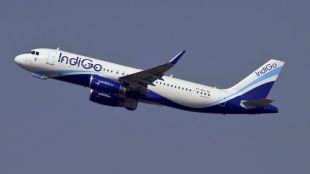 INDIGO PTI