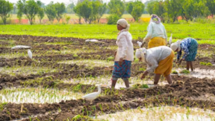 National Farmers’ Day 2024