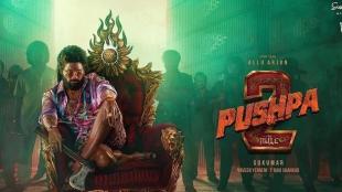 The biggest contributor was Pushpa 2, which accounted for 21% of total co-branded ad volumes.