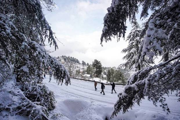 Locals walk on a snow-covered road after a fresh spell of snowfall, at Kufri near Shimla. (Photo source: PTI)