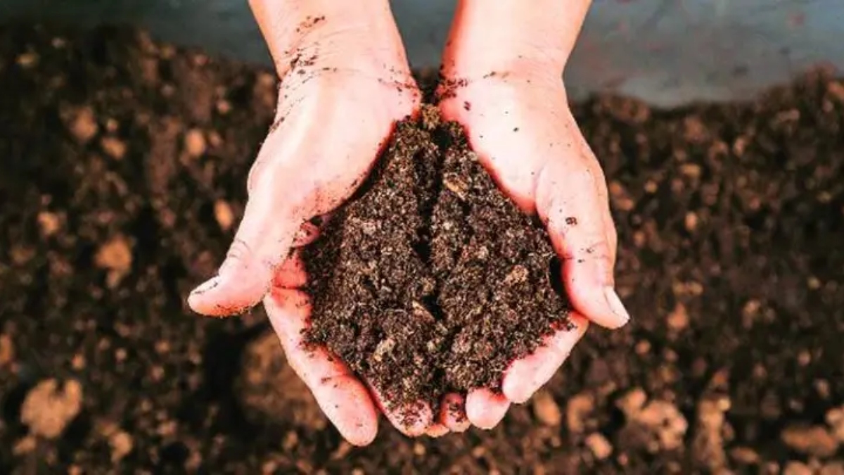 Nourishing our soil Nourishing our soil