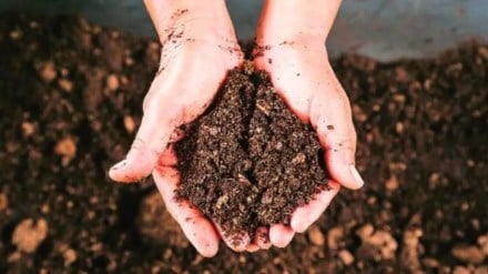 Nourishing our soil