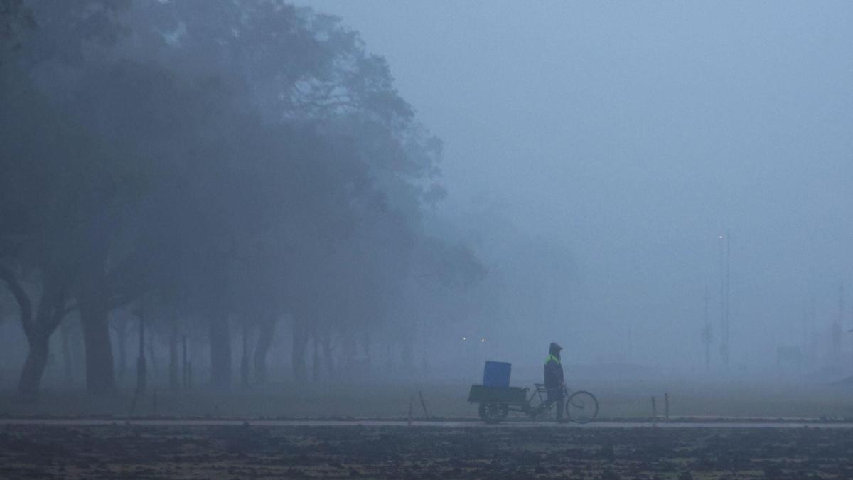 cold wave, weather in north india, north india weather update, delhi weather, punjab weather