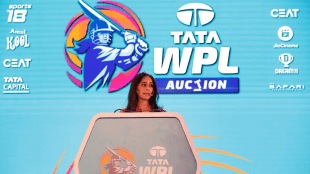 Women's Premier League Auction 2025 Highlights