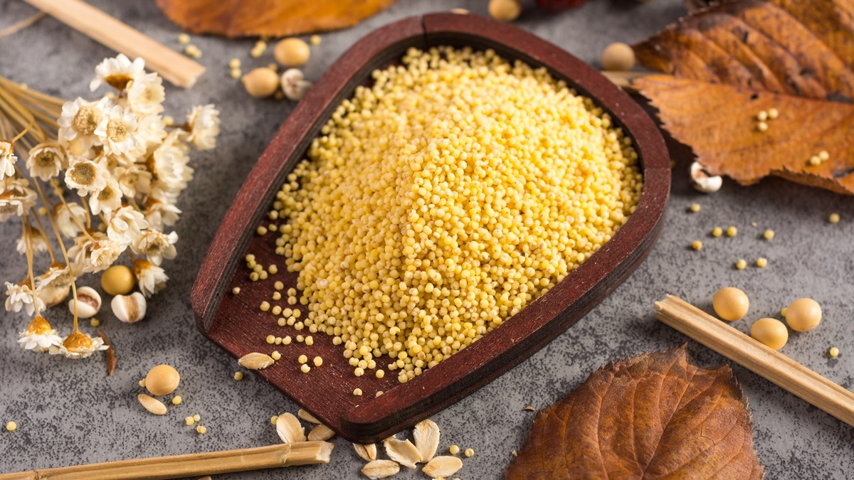 Myths on nutrition, myths about millets, millet fun facts, millets definition history, how to use millets in daily life, what are positive millets, barnyard millet nutritional benefits, is millets good for diabetics, what are the nutritional benefits of millet, is millet ok for diabetics, barnyard millet nutrition facts, glycemic index of millet, eating millets instead of rice, is it ok to eat millet every day, millets system, myths and facts about millets, facts about millet, fun facts about millet, health benefits of millet grain, health benefits of millet, are millets healthy, is millet good for your health, properties of millet, nutrition facts of millet, nutritional facts millet, is millets keto-friendly, what is the best millet to eat, what is millet good for in your body, why eat millet, is millets better than rice, why is my millet mushy, kinds of millet, are there different types of millet, is millet or quinoa better, are millets good for you, health news, wellness news,