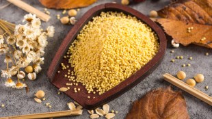 Myths on nutrition, myths about millets, millet fun facts, millets definition history, how to use millets in daily life, what are positive millets, barnyard millet nutritional benefits, is millets good for diabetics, what are the nutritional benefits of millet, is millet ok for diabetics, barnyard millet nutrition facts, glycemic index of millet, eating millets instead of rice, is it ok to eat millet every day, millets system, myths and facts about millets, facts about millet, fun facts about millet, health benefits of millet grain, health benefits of millet, are millets healthy, is millet good for your health, properties of millet, nutrition facts of millet, nutritional facts millet, is millets keto-friendly, what is the best millet to eat, what is millet good for in your body, why eat millet, is millets better than rice, why is my millet mushy, kinds of millet, are there different types of millet, is millet or quinoa better, are millets good for you, health news, wellness news,