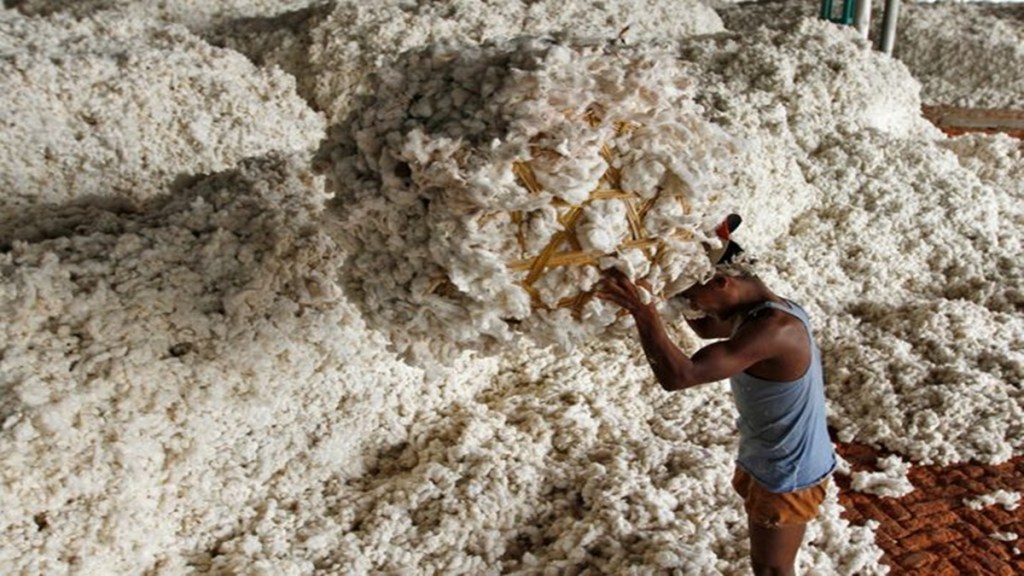 cotton, msp, economy, Gujcot Trade Association, MSP, trader, rupee