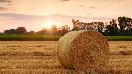 Centre seeks Parliament nod for net extra spend of Rs 44,143-cr Centre seeks Parliament nod for net extra spend of Rs 44,143-cr