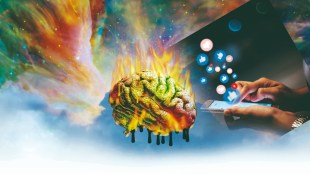 Don’t rot your brain