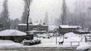 Snow delicately rests on the roofs of houses, creating a picturesque, snowy landscape that adds to the charm and tranquility of the neighborhood. (PTI Photo)
