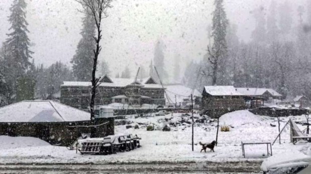 Snow delicately rests on the roofs of houses, creating a picturesque, snowy landscape that adds to the charm and tranquility of the neighborhood. (PTI Photo)