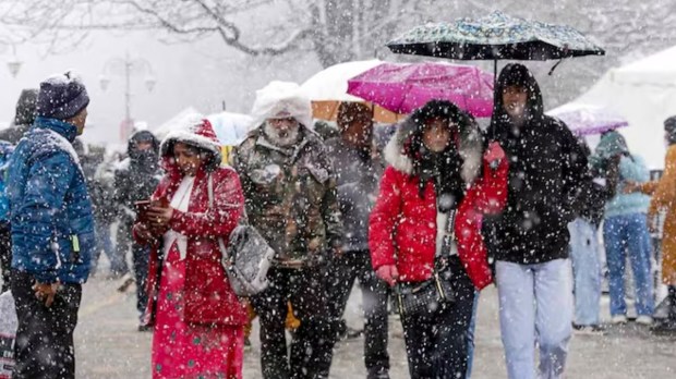 The scene captures their joy and the serene atmosphere of a snowy day. (PTI Photo)