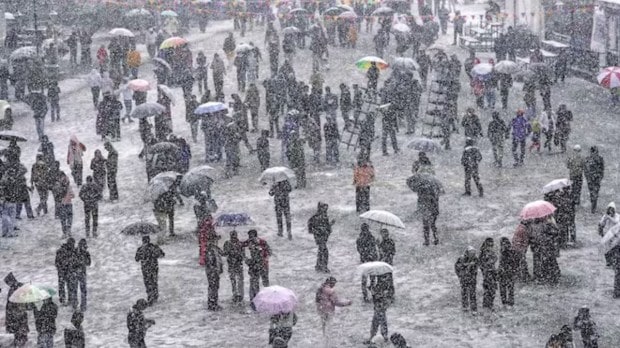 Tourists delight in the snowfall, holding umbrellas to shield themselves from the gentle flakes, as they revel in the winter magic surrounding them. (PTI Photo)