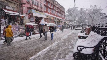 Shimla: Tourists leisurely explore the Shimla city streets, their footsteps crunching on the fresh blanket of snow that has recently fallen, creating a serene winter wonderland. (PTI)
