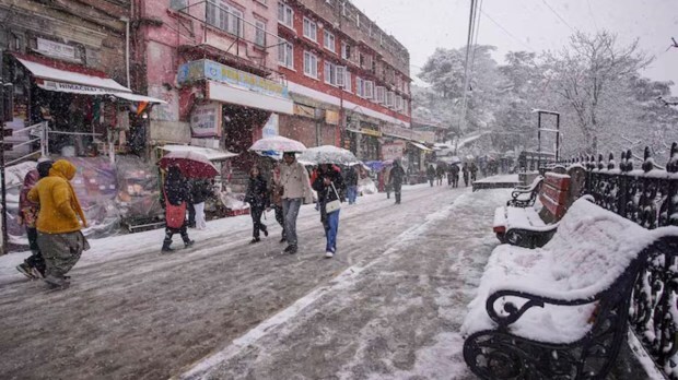 Shimla: Tourists leisurely explore the Shimla city streets, their footsteps crunching on the fresh blanket of snow that has recently fallen, creating a serene winter wonderland. (PTI)