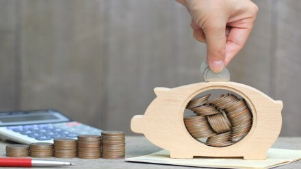 Budget, GDP, economy, Budget 2025, bank deposits, small savings instruments, life insurance policies, tax