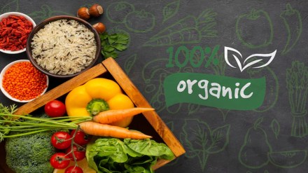 organic food, industry, organic export, cereals and millets, processed food, tea, spices, dry fruits, sugar, medicinal plant products, pulses, coffee, oil meal organic food, industry, organic export, cereals and millets, processed food, tea, spices, dry fruits, sugar, medicinal plant products, pulses, coffee, oil meal