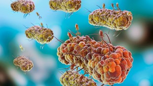 fungi, fungi in nose, bacteria in nose, asthma, asthma symptoms, asthma treatment, health news, wellness news,