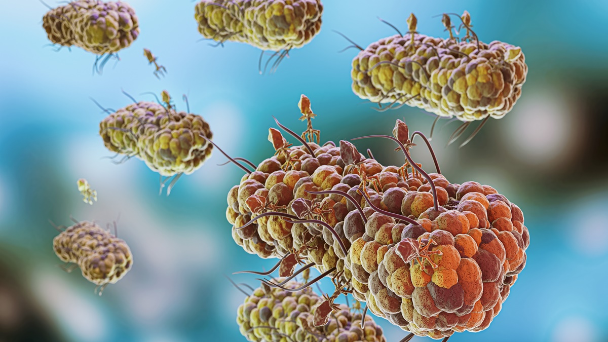 fungi, fungi in nose, bacteria in nose, asthma, asthma symptoms, asthma treatment, health news, wellness news, fungi, fungi in nose, bacteria in nose, asthma, asthma symptoms, asthma treatment, health news, wellness news,