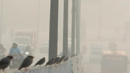 PM2.5 - fine particulate matter smaller than 2.5 microns - is a key factor in respiratory and cardiovascular illnesses, posing significant risks to public health.  