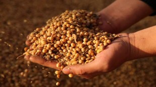 price support scheme, PSS, economy, minimum support price, kharif crops, soyabean, Soybean Processors Association of India,