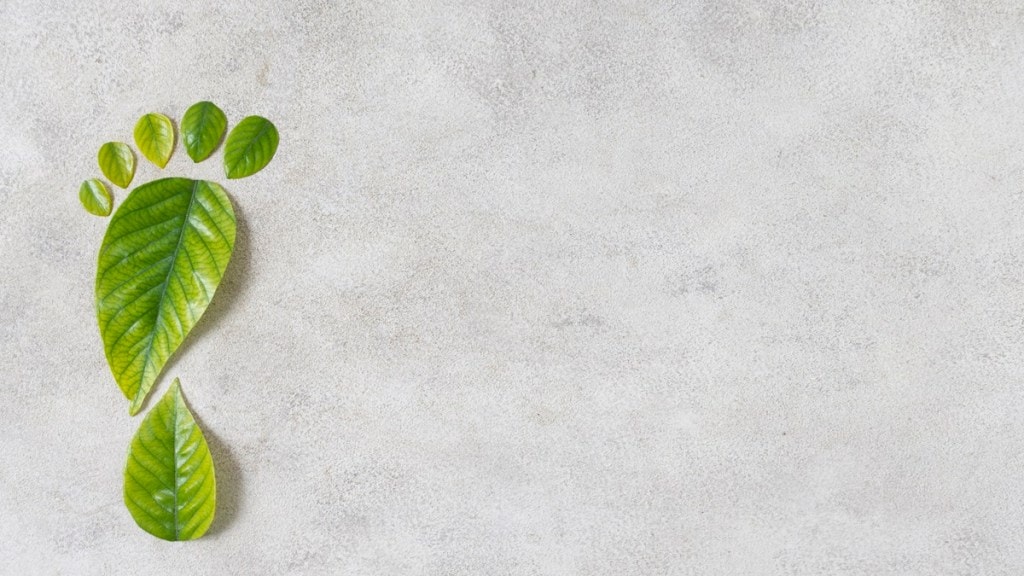 Most SMEs reluctant to invest in sustainability: Survey Most SMEs reluctant to invest in sustainability: Survey