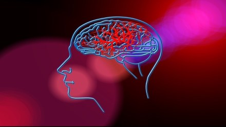 Doctors raise concern over sharp rise in stroke cases among young Indians