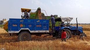 agriculture, agri economy, opinion, editorial
