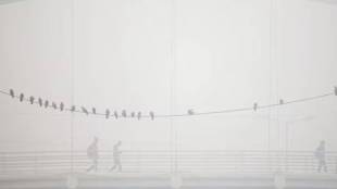 Delhi NCR Weather