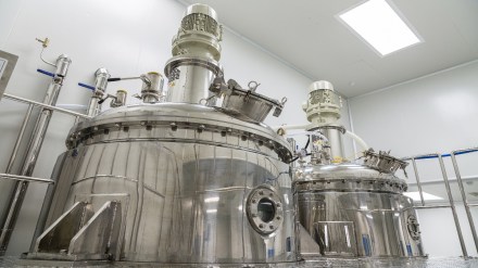 Ethanol stocks higher today, January 16
