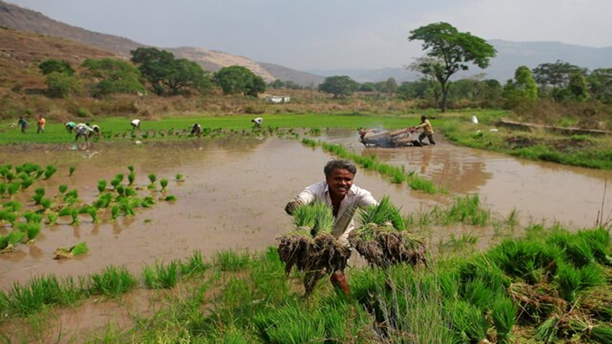 PMFBY, RWBCIS, economy, farmers, farming, agricultural schemes, crop insurance scheme PMFBY, RWBCIS, economy, farmers, farming, agricultural schemes, crop insurance scheme
