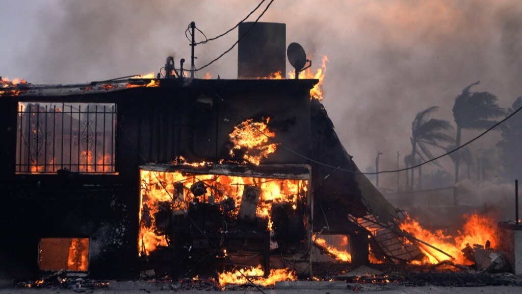 Los Angeles Palisades Wildfires in Photos