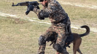 Indian army