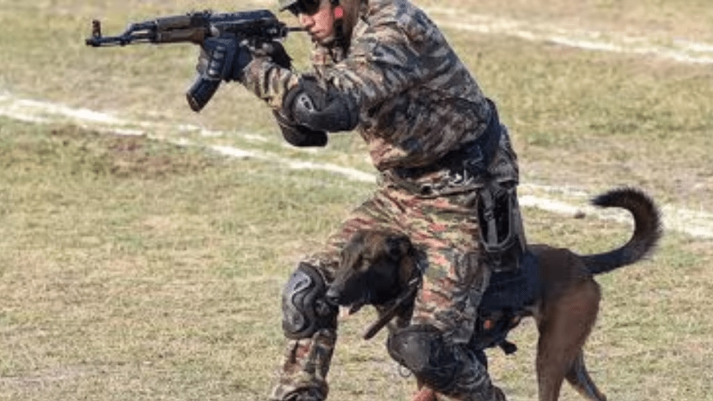 Indian army
